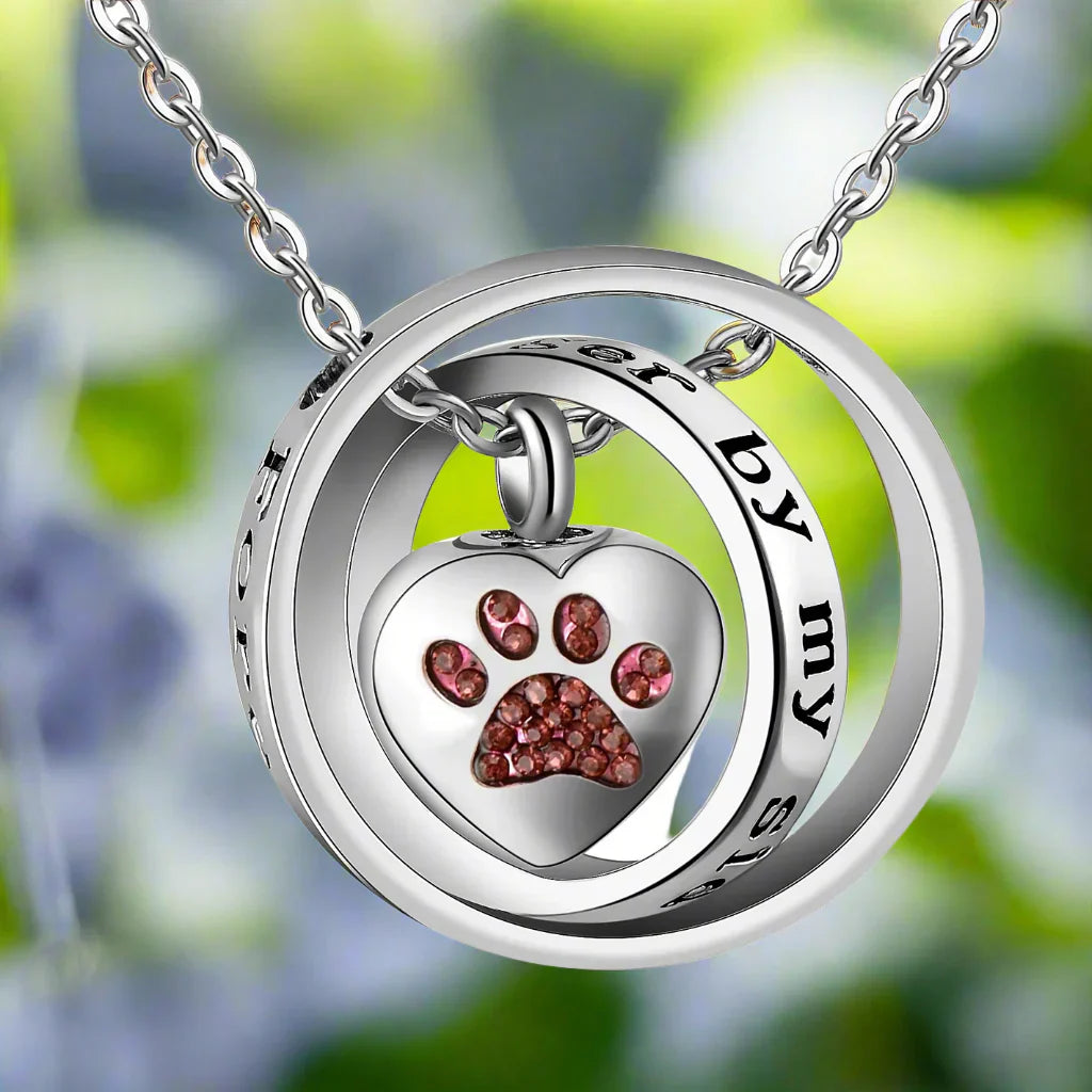 « N'est Plus À Mes Côtés, Toujours Dans Mon Cœur » – Collier Pendentif Urne Patte en Acier Inoxydable