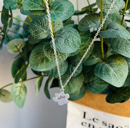 Élégant Collier Patte Argent – Acier Inoxydable