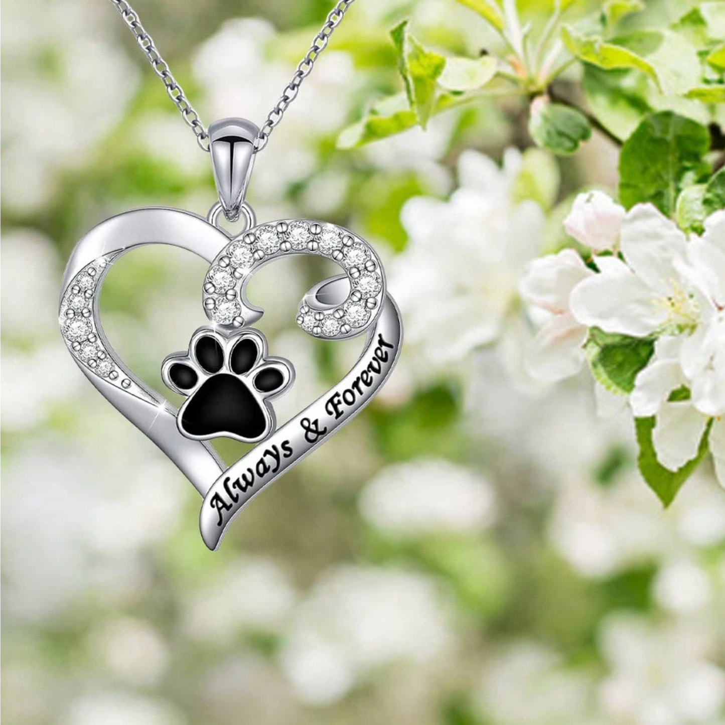 Collier Patte de Chien – Cœur en Acier Inoxydable avec Zircone