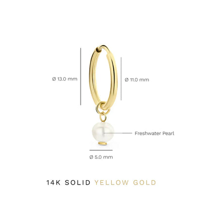 Boucles d'oreilles Delia Crest | Or