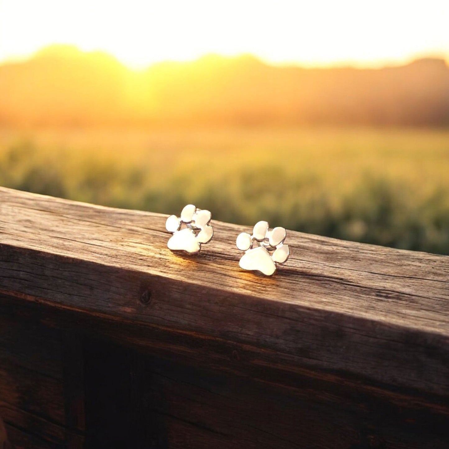 Boucles d'oreilles Patte Hypoallergéniques – En Acier Inoxydable