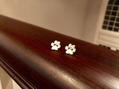 Boucles d'oreilles Patte Hypoallergéniques – En Acier Inoxydable